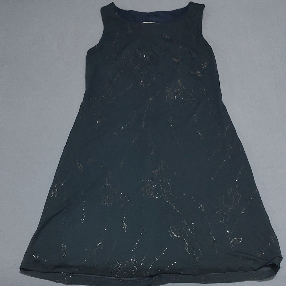 Byer Too! Navy Dress